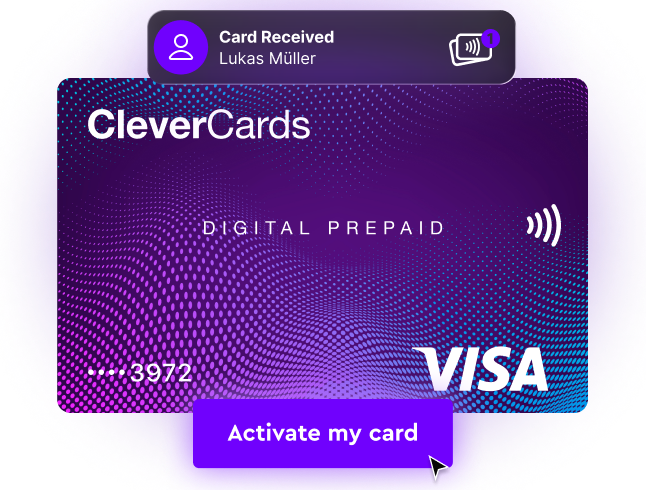Spending controls interface